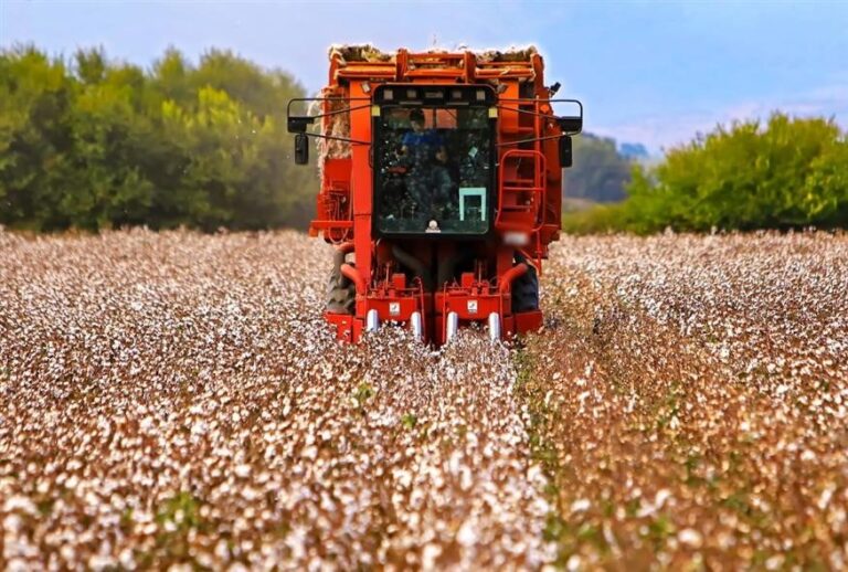 ΟΠΕΚΕΠΕ: Η «σκοτεινή» δράση τού κυκλώματος της Κρήτης