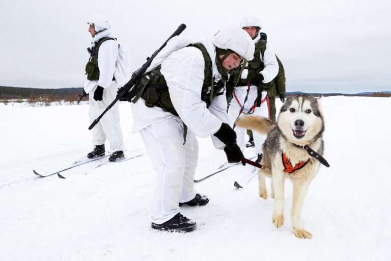 Οκτώ χώρες με εδάφη στην Αρκτική